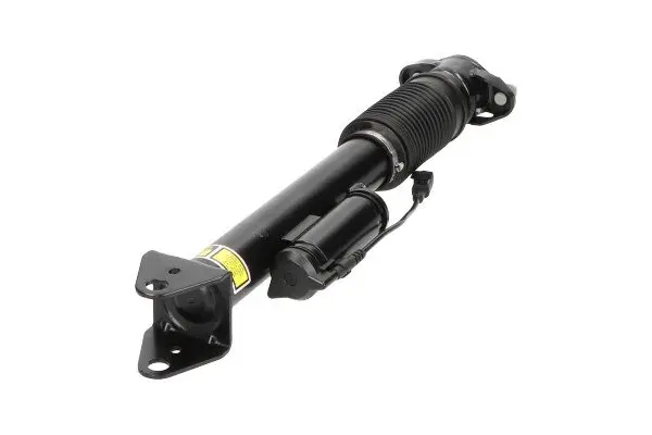 Задний амортизатор (стойка) kavo parts SAS10007