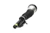 KAVO PARTS DB Пневмо амортизатор передн.W220 kavo parts SAS-10013