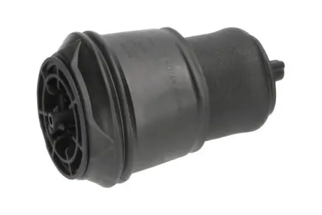 KAVO PARTS CITROEN задн. пневмо. подушка Jumpy III Kavo parts SAS10024