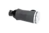 KAVO PARTS Пневмо подушка пер. AUDI A6 quattro -05 kavo parts SAS10045