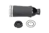 KAVO PARTS Пневмо подушка пер. AUDI A6 quattro -05 kavo parts SAS10045