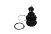 KAVO PARTS TOYOTA кульова опора Yaris 1.0 05-11, 1.8 07-11 kavo parts SBJ-9034