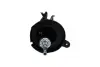 KAVO PARTS HONDA амортизатор передн.прав.CR-V 02- kavo parts SSA-11404