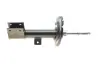 Амортизатор Kavo parts SSA-10579 (фото 6)