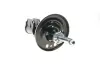 Амортизатор Kavo parts SSA10584 (фото 6)