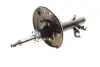 Амортизатор Kavo parts SSA-6596 (фото 6)