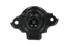 Подушка (опора) двигуна Kavo parts EEM-2002 (фото 1)