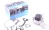 Насос водяной Kavo parts MW-1456 (фото 1)
