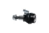 Нижняя шаровая опора kavo parts SBJ10072