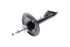 Передний амортизатор (стойка) kavo parts SSA10034