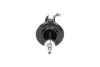 Передний амортизатор (стойка) kavo parts SSA10099