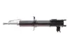 Передний амортизатор (стойка) kavo parts SSA1010