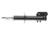 Передний амортизатор (стойка) kavo parts SSA1010