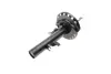Передній амортизатор (стойка) Kavo parts SSA-10128 (фото 6)