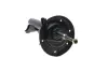 Передній амортизатор (стойка) Kavo parts SSA-10156 (фото 6)
