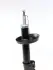 Передний амортизатор (стойка) kavo parts SSA-10178