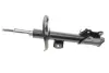 Передний амортизатор (стойка) kavo parts SSA-10181