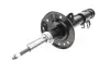 Передний амортизатор (стойка) kavo parts SSA-10181
