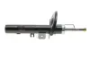 Передний амортизатор (стойка) kavo parts SSA-10198