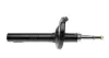 Передній амортизатор (стойка) Kavo parts SSA10246 (фото 6)