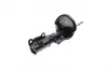 Передній амортизатор (стойка) Kavo parts SSA-10255 (фото 8)