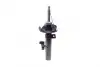 Передний амортизатор (стойка) kavo parts SSA-10256