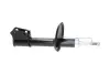 Передний амортизатор (стойка) kavo parts SSA10318