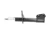 Передний амортизатор (стойка) kavo parts SSA10318