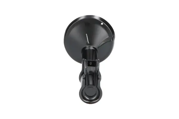 Передний амортизатор (стойка) kavo parts SSA10318