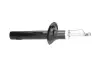 Передний амортизатор (стойка) kavo parts SSA-10322