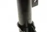 Передний амортизатор (стойка) kavo parts SSA-10337