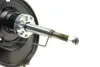Передний амортизатор (стойка) kavo parts SSA-10337
