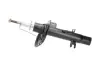 Передний амортизатор (стойка) kavo parts SSA-10376