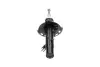 Передний амортизатор (стойка) kavo parts SSA-10376