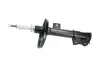 Передний амортизатор (стойка) kavo parts SSA10407