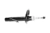 Передний амортизатор (стойка) kavo parts SSA-10410