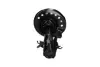 Передний амортизатор (стойка) kavo parts SSA10573