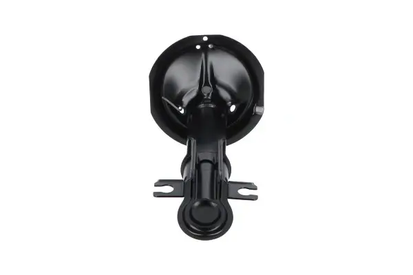 Передній амортизатор (стойка) Kavo parts SSA11434 (фото 1)