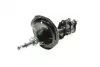 Передний амортизатор (стойка) kavo parts SSA-3027