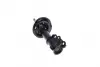 Передний амортизатор (стойка) kavo parts SSA3036