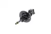 Передний амортизатор (стойка) kavo parts SSA3036