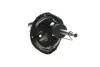 Передний амортизатор (стойка) kavo parts SSA3041