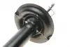 Передній амортизатор (стойка) Kavo parts SSA-4018 (фото 5)
