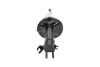 Передний амортизатор (стойка) kavo parts SSA5504