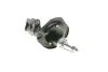 Передний амортизатор (стойка) kavo parts SSA-5520