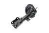 Передній амортизатор (стойка) Kavo parts SSA5532 (фото 6)