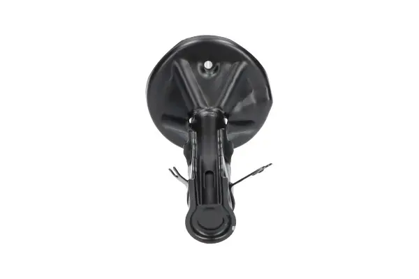 Передний амортизатор (стойка) kavo parts SSA5534