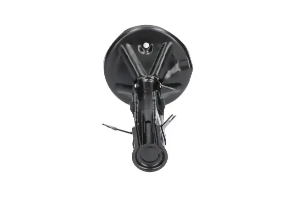 Передний амортизатор (стойка) kavo parts SSA5535
