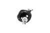 Передній амортизатор (стойка) Kavo parts SSA-6555 (фото 3)