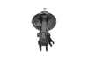 Передний амортизатор (стойка) kavo parts SSA-6572